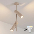 BRILAGI - LED RGBW Dimmable Rod-Mounted Chandelier BRANCH 2xGU10/6,5W/230V 2700-6500K beige