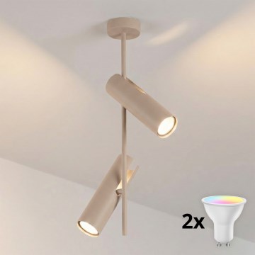 BRILAGI - LED RGBW Dimmable Rod-Mounted Chandelier BRANCH 2xGU10/6,5W/230V 2700-6500K beige