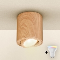 Brilagi - LED RGBW Dimmable spotlight MIA 1xGU10/30W/230V 2700-6500K Wi-Fi 84x80 mm brown