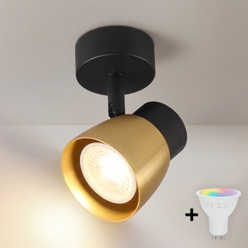 Brilagi - LED RGBW dimmable spotlight NUGGET 1xGU10/6W/230V black/gold