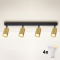 BRILAGI - LED RGBW Dimmable Spotlight SELE GOLDEN 4xGU10/4,8W/230V 3000K Black/Gold + Remote Control