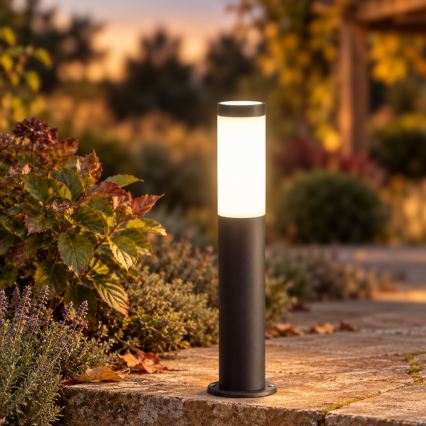 BRILAGI - ELIA LED RGBW Dimmable Outdoor Lamp 1xE27/6.5W/230V 2700-6500K IP44 Wi-Fi 50 cm Anthracite