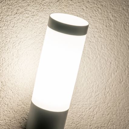 BRILAGI - LED RGBW Dimmable Outdoor Wall Lamp ELIA 1xE27/6,5W/230V 2700-6500K IP44 Wi-Fi Anthracite