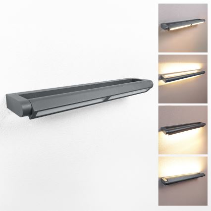 Brilagi - LED Outdoor Wall Light SALERNO LED/24W/230V 66 cm Anthracite IP65