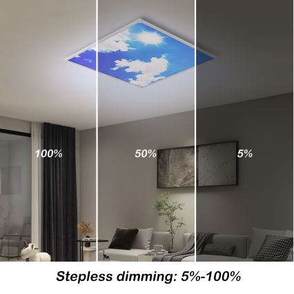 Brilagi - SLIMFRAME SKY Dimmable LED Ceiling Light 58W/230V 60x60 cm 3000-6000K Silver/Blue + Remote Control
