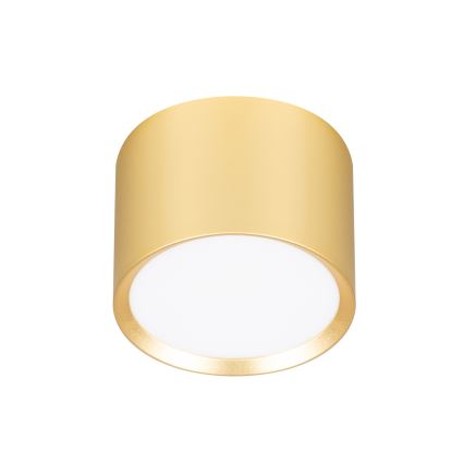 BRILAGI - LED SMOOTH Spotlight 1xGX53/15W/230V 60x82 mm Gold