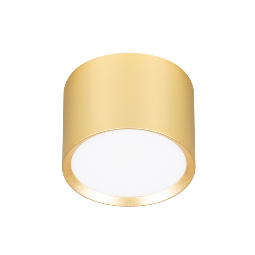 Brilagi - LED SMOOTH Spotlight 1xGX53/15W/230V Gold