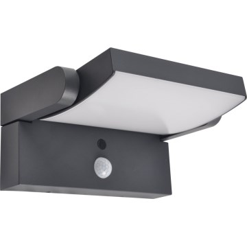 Brilagi - LED Solar wall light with sensor ANKLE LED/10W/3,7V 4000K IP65 anthracite