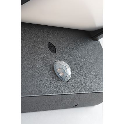 Brilagi - LED Solar wall light with motion and dusk sensor ANKLE LED/10W/3,7V 3000 mAh 4000K IP65 anthracite