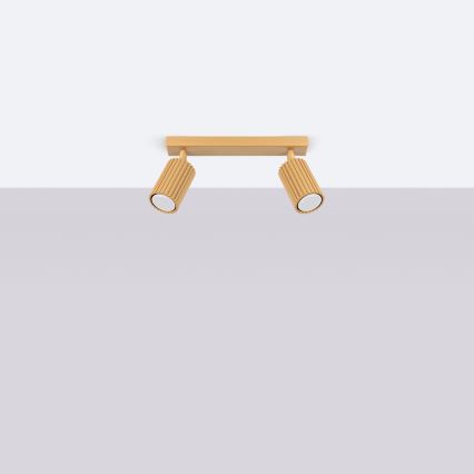 Brilagi - LED spotlight CRESTO 2xGU10/10W/230V gold