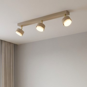 Brilagi - LED Spotlight MONO 3xGX53/12W/230V beige
