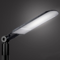Brilagi - LED Street Light URBANLIGHT LED/250W/230V Black IP65