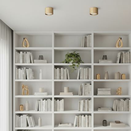 Brilagi - LED STRIPY Spotlight 1xGX53/15W/230V, Gold finish