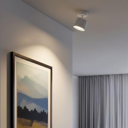 BRILAGI - LED STRIPY Spotlight 1xGX53/15W/230V pr. 82 mm White