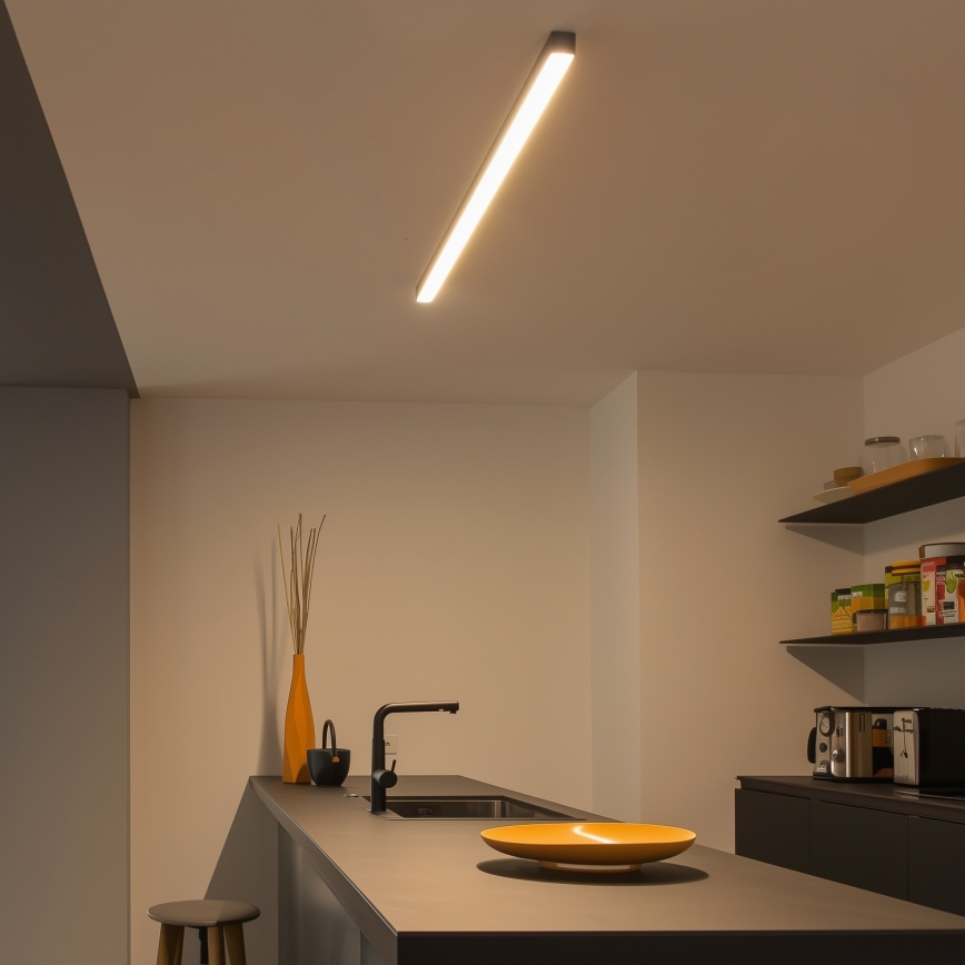Brilagi - LED surface-mounted ceiling light FULLDAY LED/30/40/50W/230V 2700/4000/6000K 150 cm black