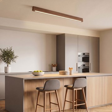 BRILAGI - LED surface-mounted ceiling luminaire GARDALINE LED/90W/230V 120 cm oak