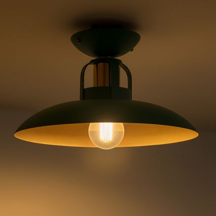 Brilagi - LED Surface-mounted chandelier FLAMENGO 1xE27/60W/230V green