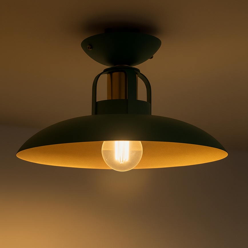 Brilagi - LED Surface-mounted chandelier FLAMENGO 1xE27/60W/230V green