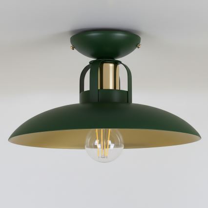 Brilagi - LED Surface-mounted chandelier FLAMENGO 1xE27/60W/230V green