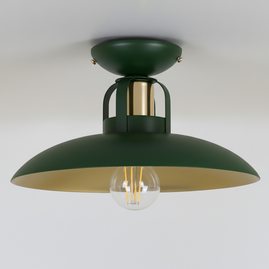 Brilagi - LED Surface-mounted chandelier FLAMENGO 1xE27/60W/230V green