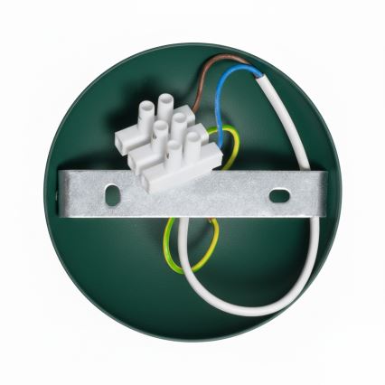 Brilagi - LED Surface-mounted chandelier FLAMENGO 1xE27/60W/230V green