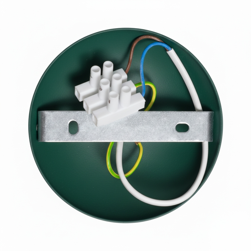 Brilagi - LED Surface-mounted chandelier FLAMENGO 1xE27/60W/230V green