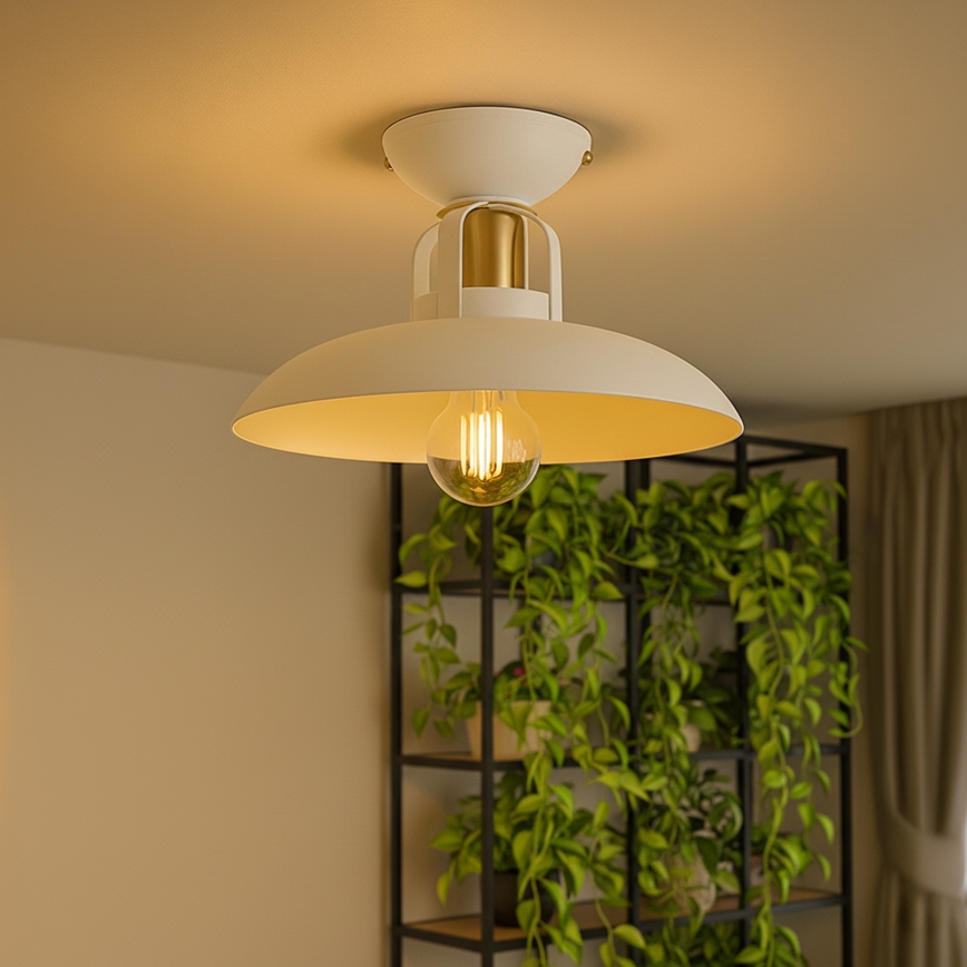 Brilagi - LED Surface-mounted chandelier FLAMENGO 1xE27/60W/230V white