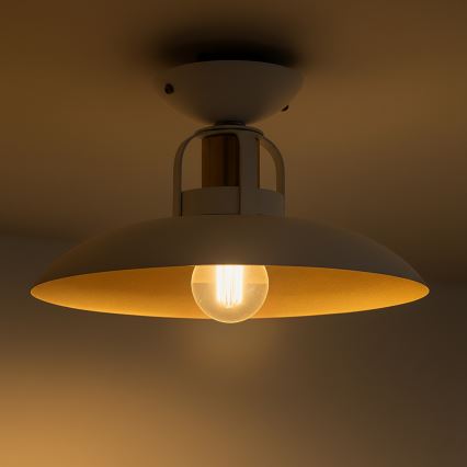 Brilagi - LED Surface-mounted chandelier FLAMENGO 1xE27/60W/230V white