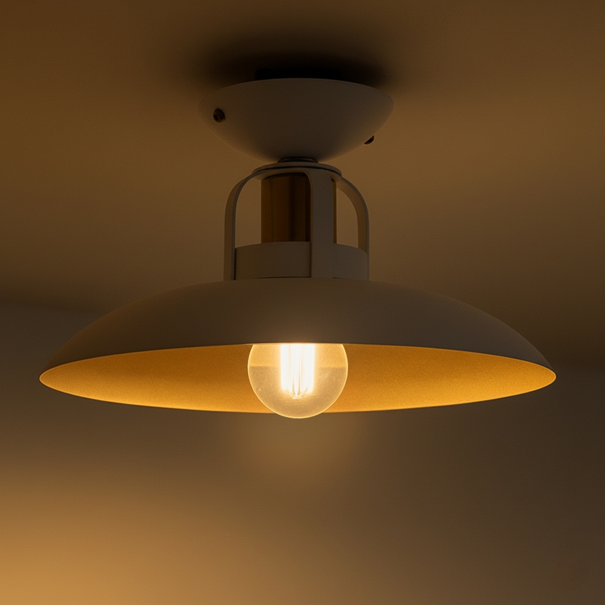 Brilagi - LED Surface-mounted chandelier FLAMENGO 1xE27/60W/230V white