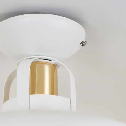 Brilagi - LED Surface-mounted chandelier FLAMENGO 1xE27/60W/230V white