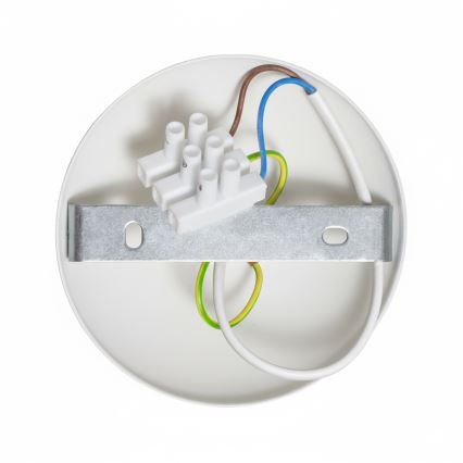 Brilagi - LED Surface-mounted chandelier FLAMENGO 1xE27/60W/230V white