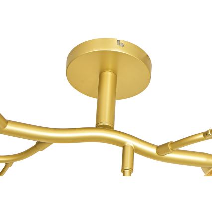 Brilagi - LED Surface-mounted chandelier MISTEL 15xG9/3W/230V gold