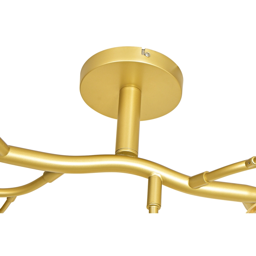 Brilagi - LED Surface-mounted chandelier MISTEL 15xG9/3W/230V gold