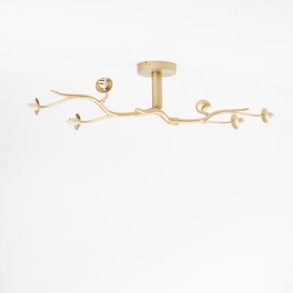 Brilagi - LED Surface-mounted chandelier MISTEL 6xG9/3W/230V gold