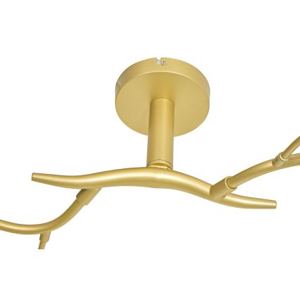 Brilagi - LED Surface-mounted chandelier MISTEL 6xG9/3W/230V gold/white
