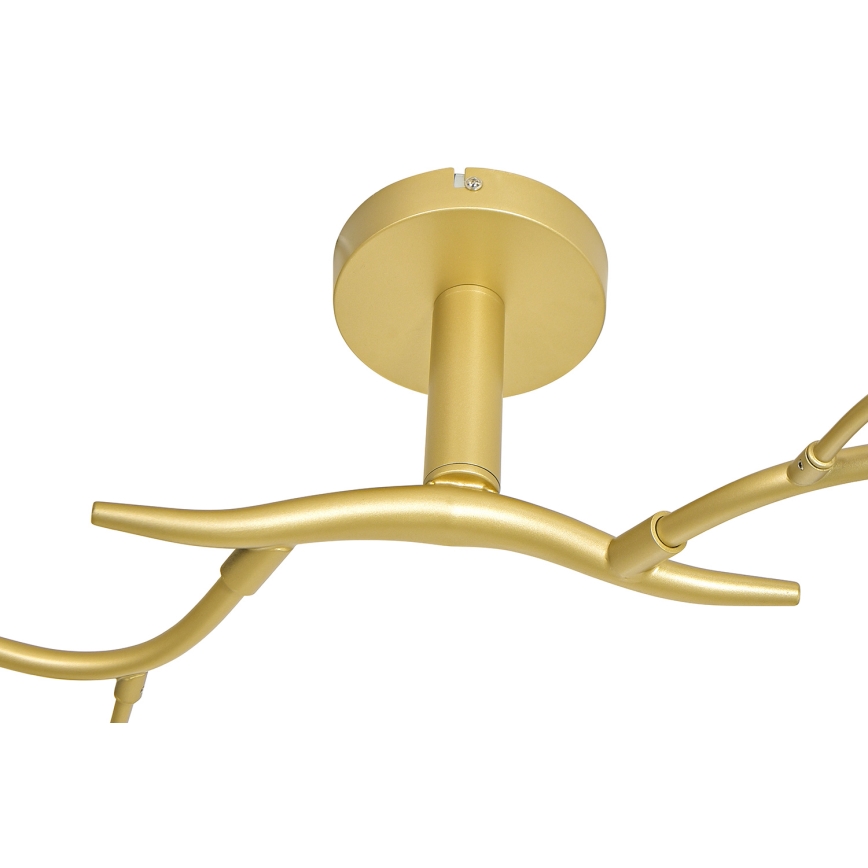 Brilagi - LED Surface-mounted chandelier MISTEL 6xG9/3W/230V gold/white