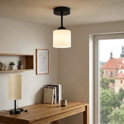 BRILAGI - LED Surface-mounted chandelier RETRO GLASS 1xE27/60W/230V Ø 10 cm black/white