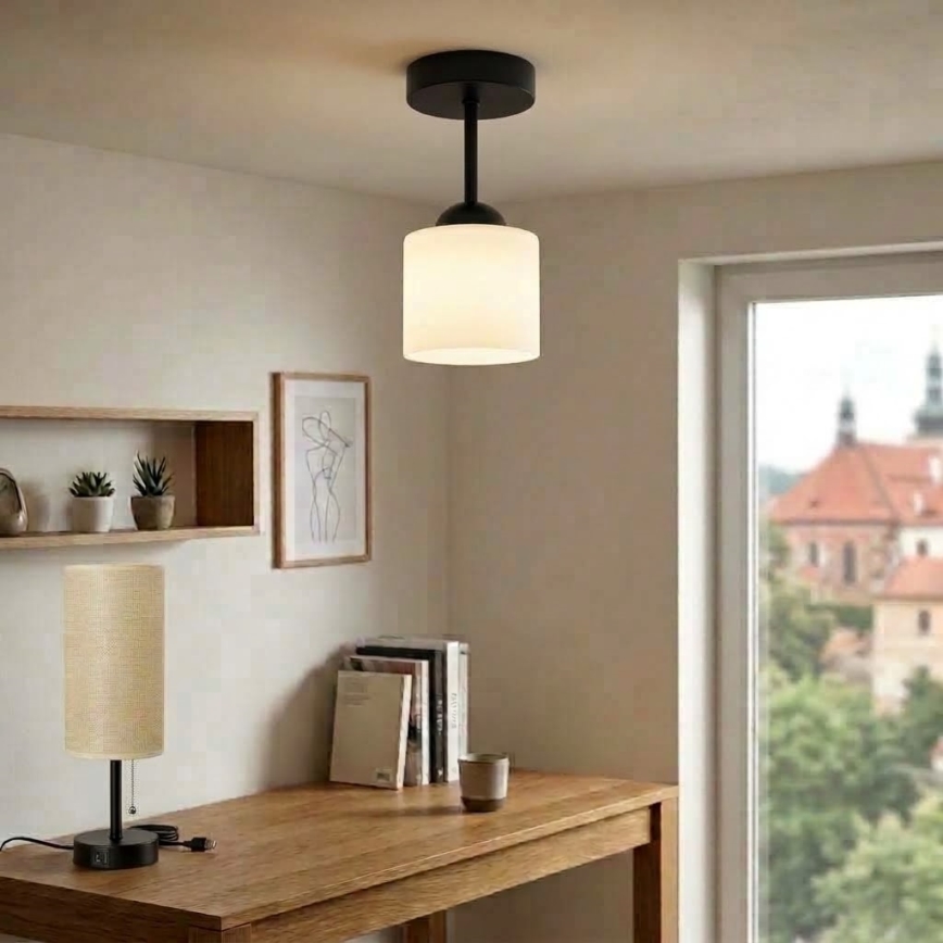 BRILAGI - LED Surface-mounted chandelier RETRO GLASS 1xE27/60W/230V Ø 10 cm black/white