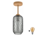 BRILAGI - LED Surface-mounted chandelier RETRO GLASS 1xE27/60W/230V Ø 14 cm beige/smoke gray