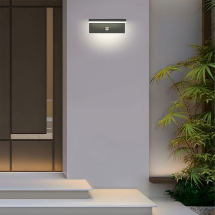 Brilagi - TESSI LED Outdoor Wall Light with Sensor, LED/10W/230V, Anthracite, IP54