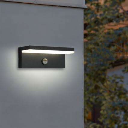 Brilagi - TESSI LED Outdoor Wall Light with Sensor LED/10W/230V Black IP54