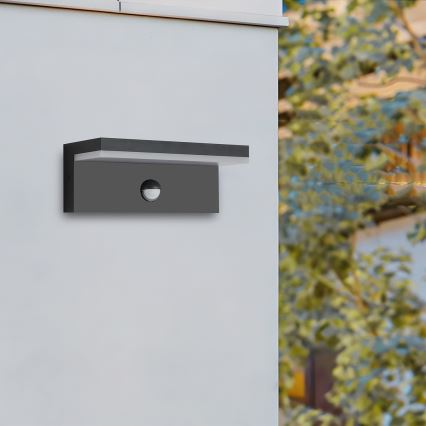Brilagi - TESSI LED Outdoor Wall Light with Sensor LED/10W/230V Black IP54