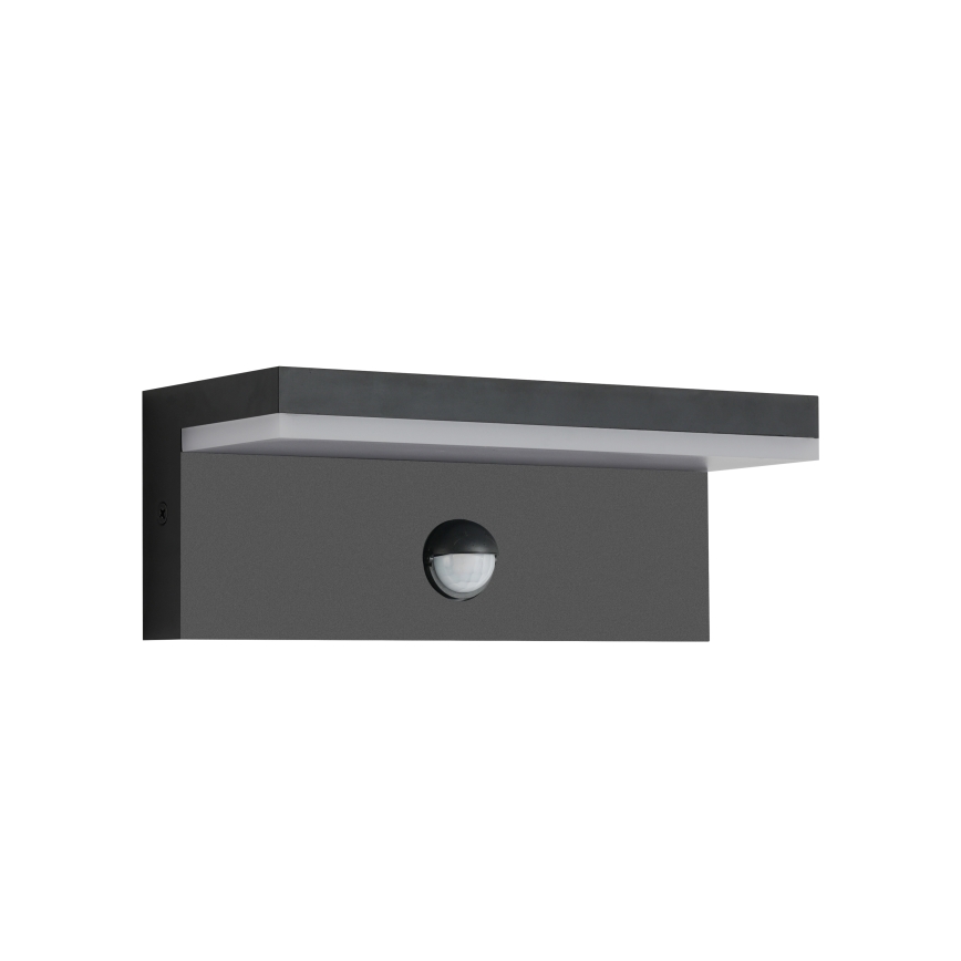 Brilagi - TESSI LED Outdoor Wall Light with Sensor LED/10W/230V Black IP54