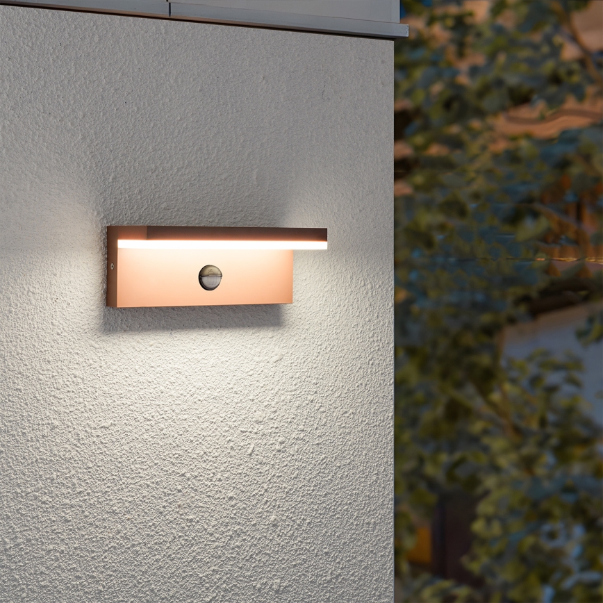 Brilagi - TESSI LED Outdoor Wall Light with Sensor, 10W/230V, Brown, IP54