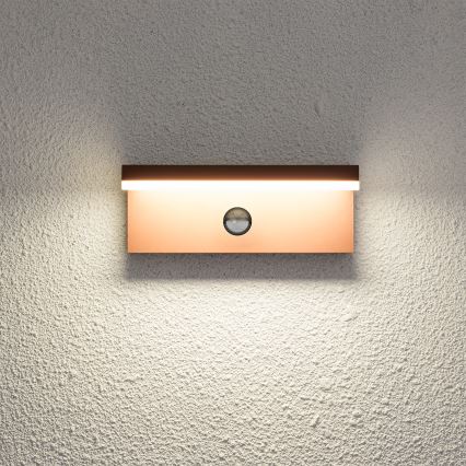 Brilagi - TESSI LED Outdoor Wall Light with Sensor, 10W/230V, Brown, IP54