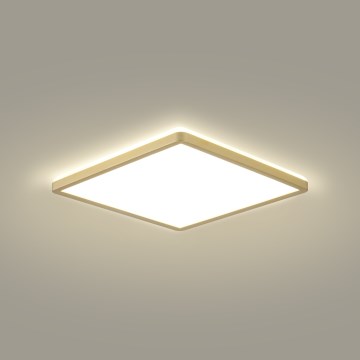 Brilagi - LED Ultra Slim Bathroom Light, 24W/230V, 42x42 cm, Gold, IP54