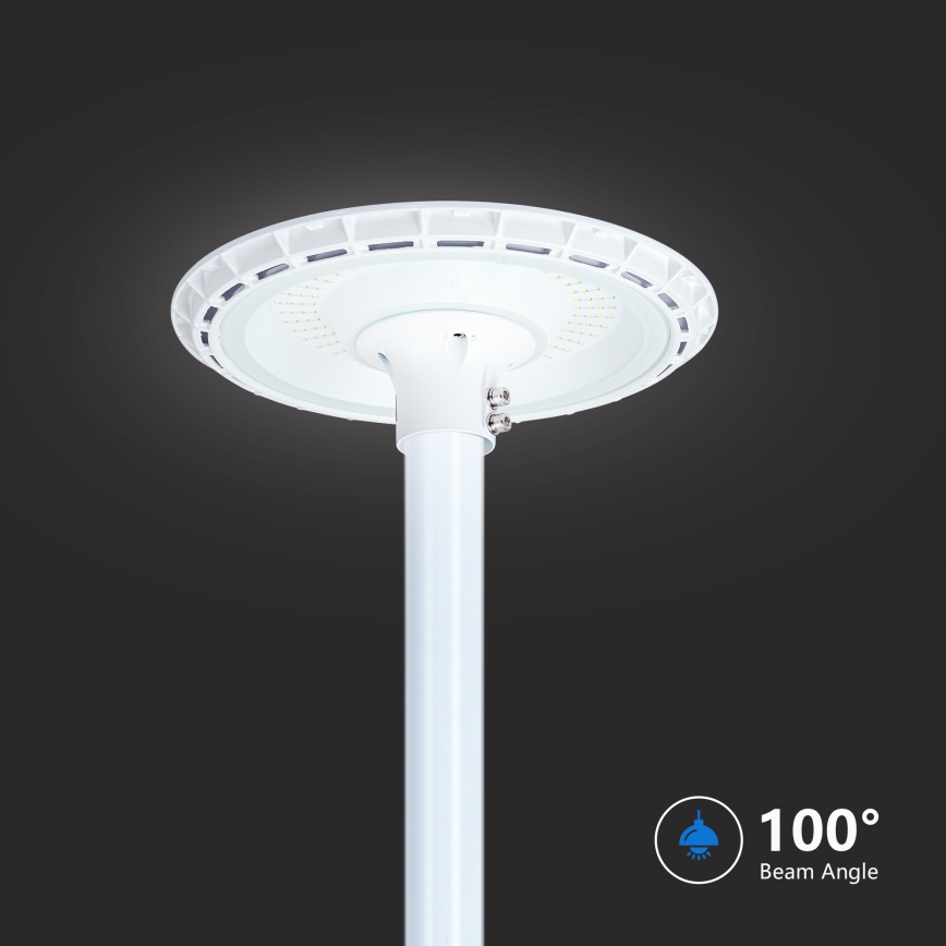 Brilagi - LED outdoor street light with 3 m pole URBANSPARK LED/120W/230V white IP65