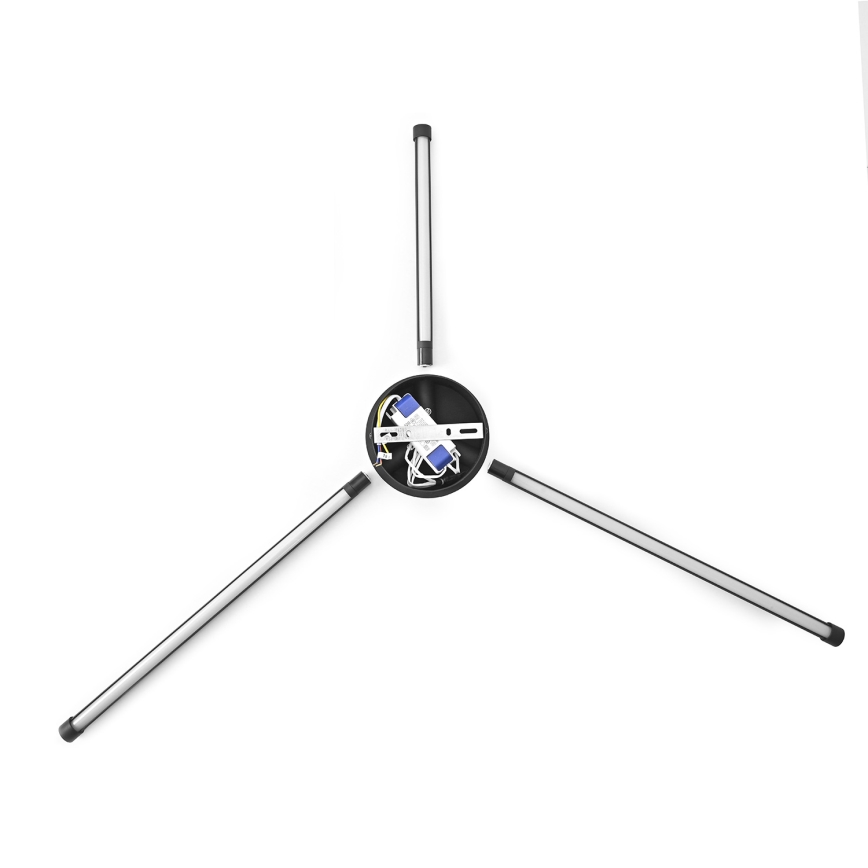 Brilagi - LED Wall light LUGO TRE LED/14W/230V black