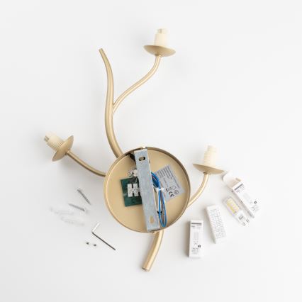 Brilagi - LED Wall light MISTEL 3xG9/3W/230V gold/white