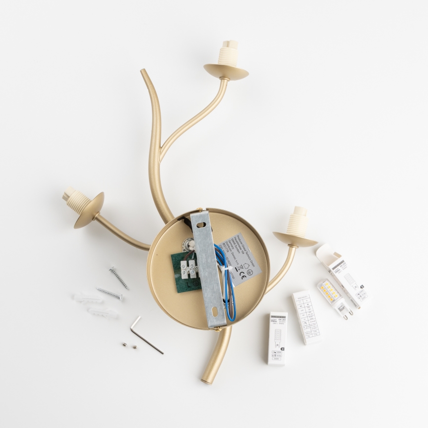 Brilagi - LED Wall light MISTEL 3xG9/3W/230V gold/white